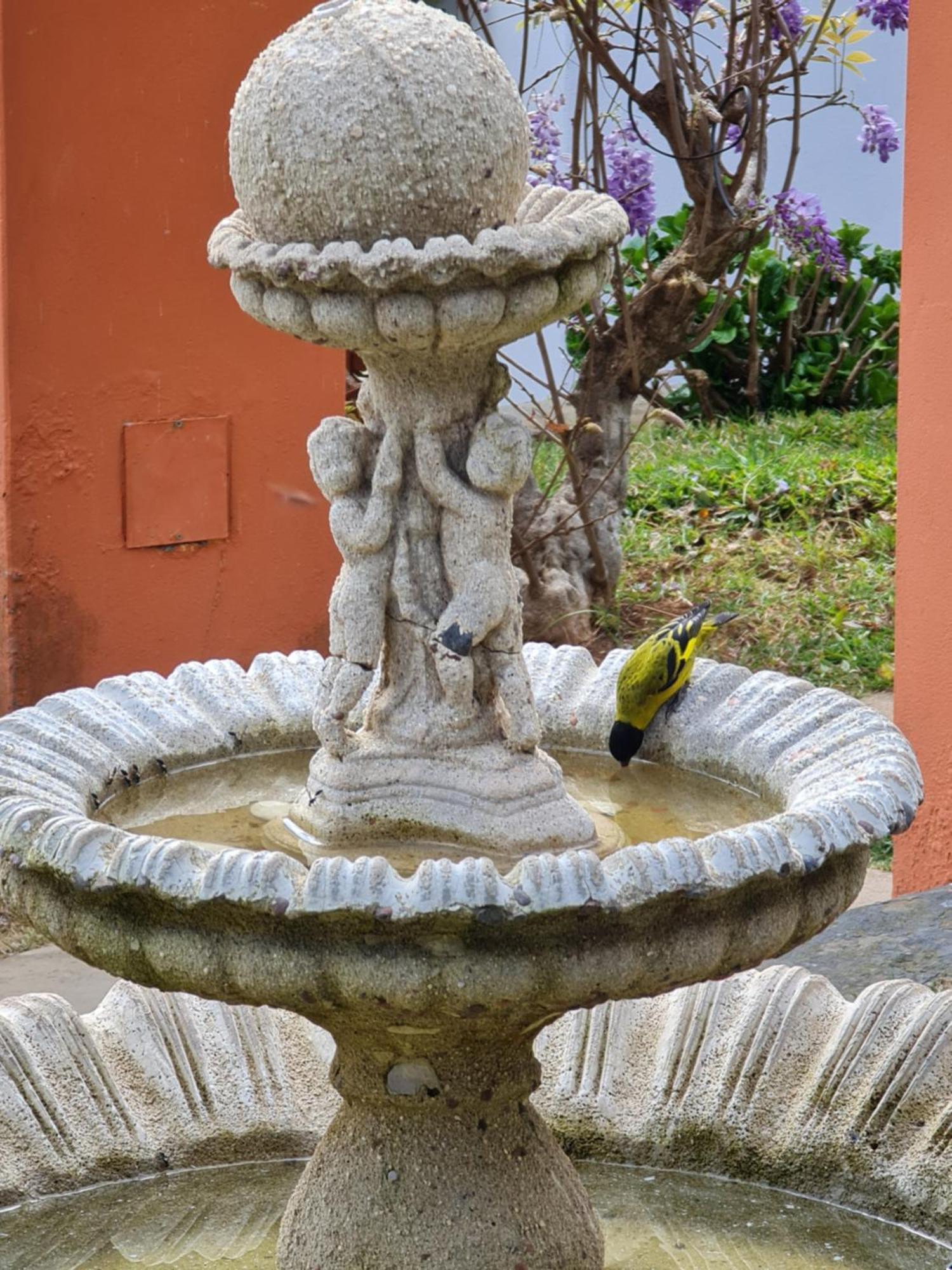 Chales Valle Florido Monte Verde (Minas Gerais) Exterior foto